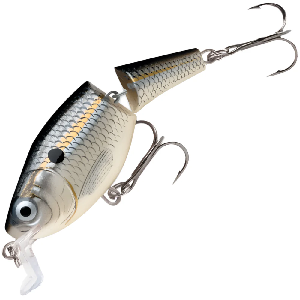  Silver Shad