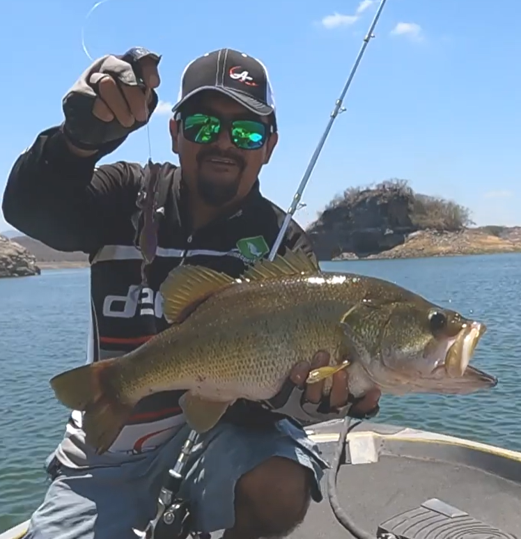 Super Hog de Geco Lures