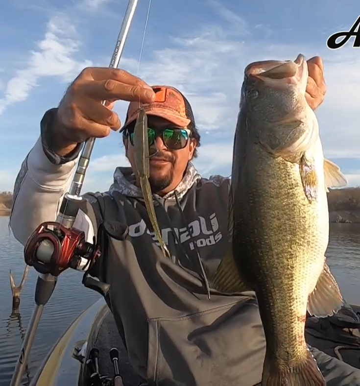 SEÑUELOS QUE AMAN LAS LOBINAS