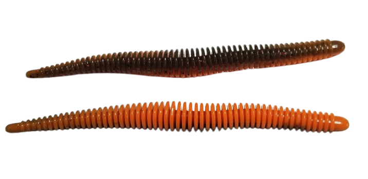 RING WORM SABINAS RIVER