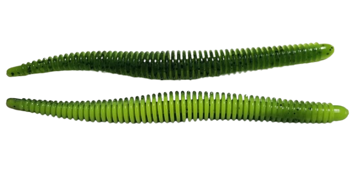 RING WORM WATERMELON CHART LAM