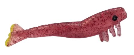 CAMARÓN CHAMOY CHART