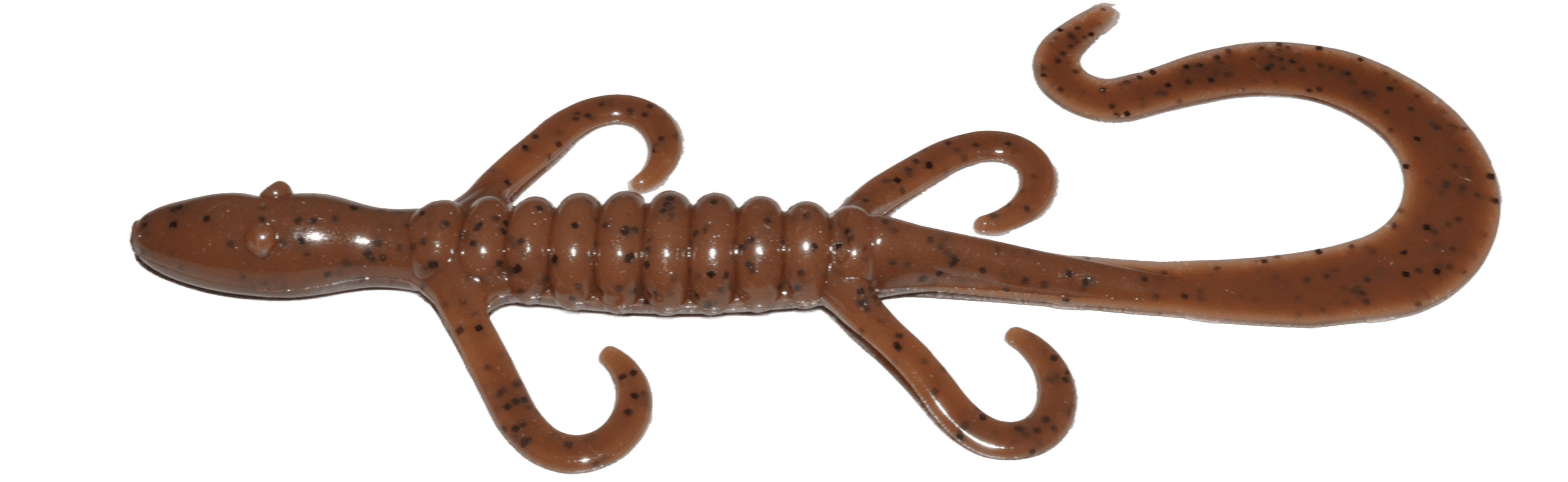 QUIJARUDA PUMKINSEED