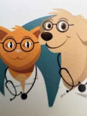 Ambulatorio Veterinario Del Centro Storico 