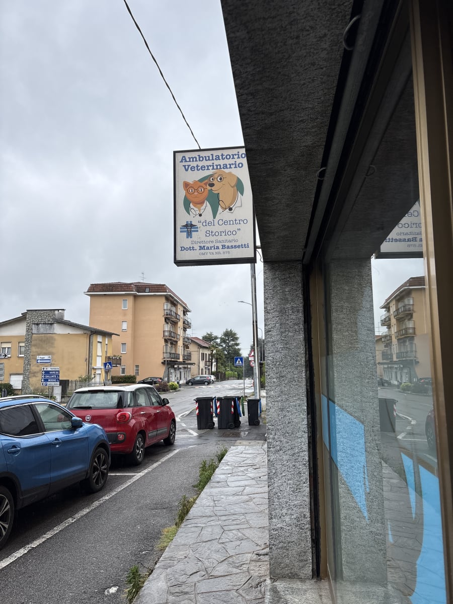 Galleria foto 2