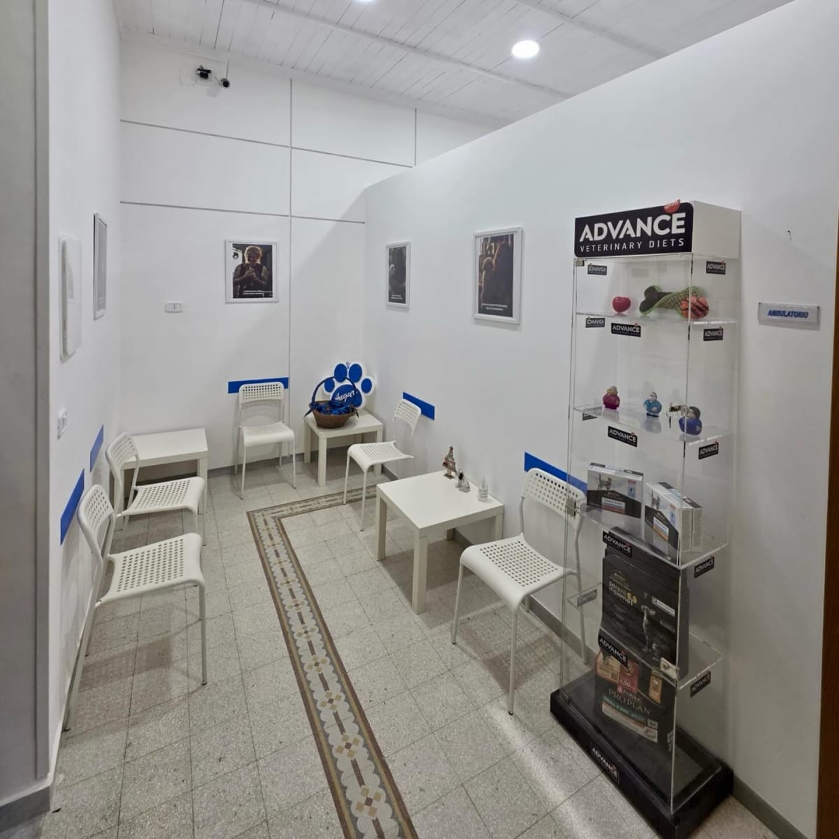 Galleria foto 2