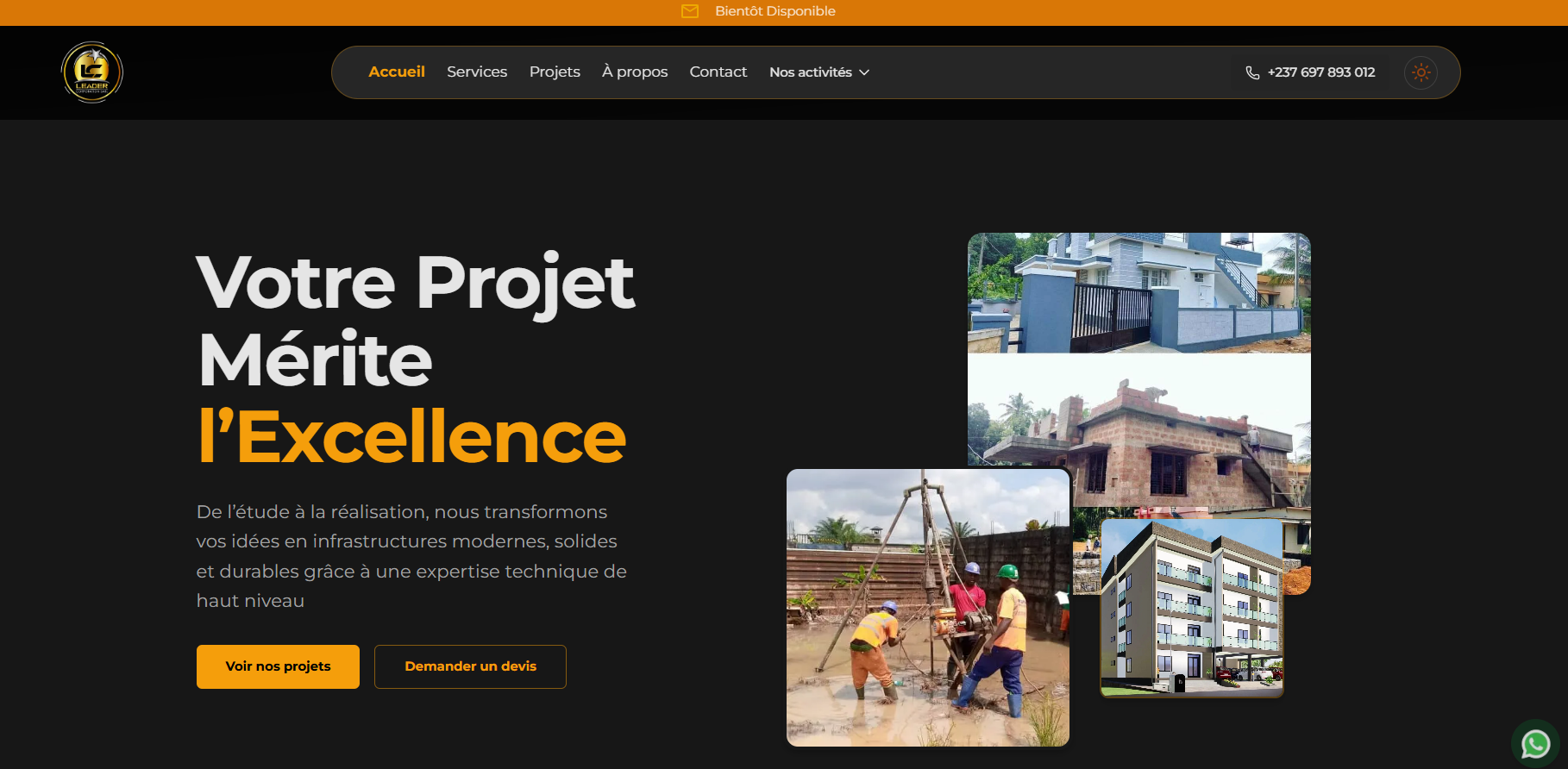 Banginic Leader Corporation SARL project