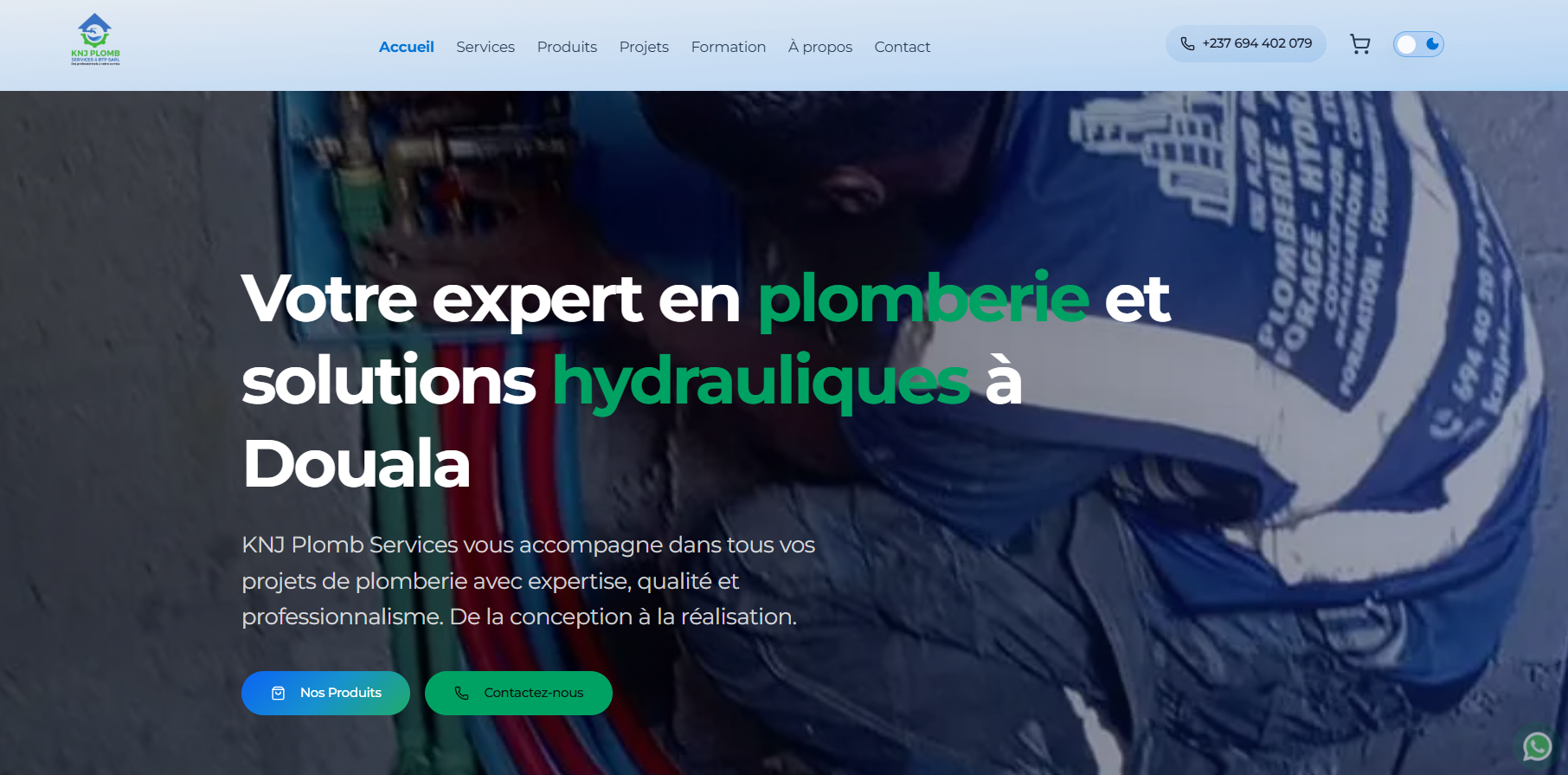 Banginic KNJ Plomb Services project