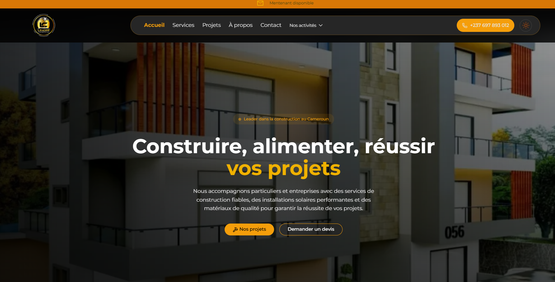 Banginic Leader Corporation SARL project