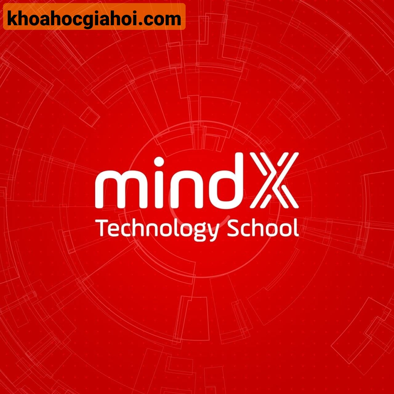 Combo 4 Khóa Học Master Business Và Data Skills Cùng Mindx