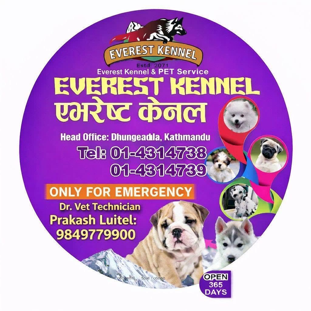 Everest Kannel