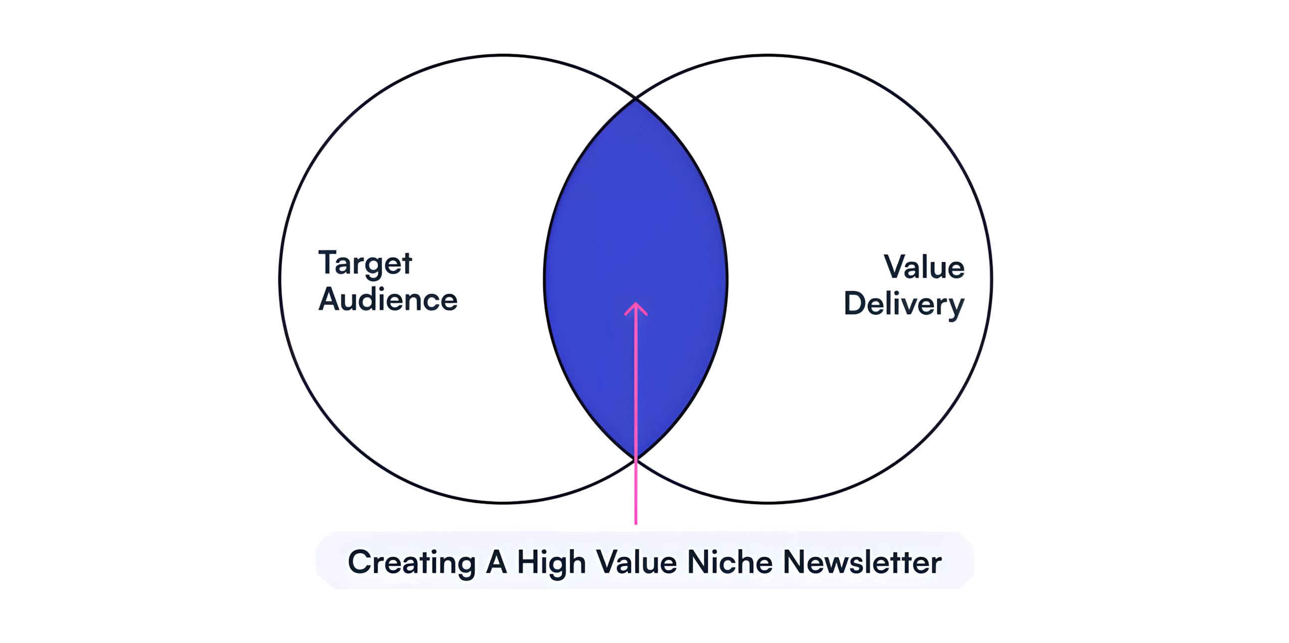 Newsletter Strategy Insights