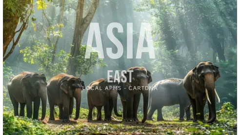 CartDNA Asia East Regional Guide