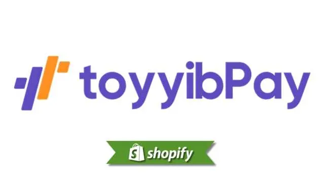 面向马来西亚商家的 Toyyibpay 支付方式指南