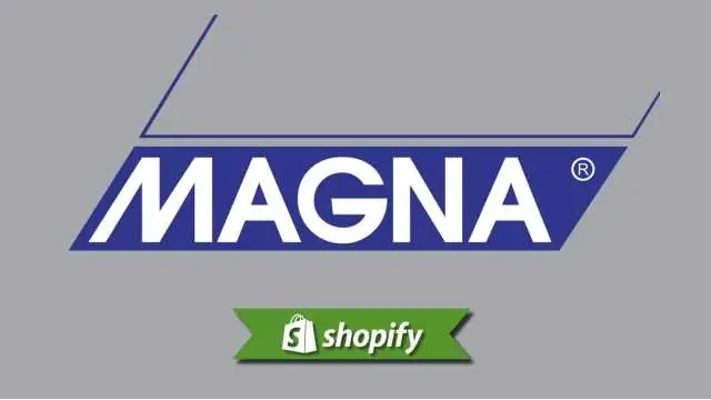 针对智利商家的 Magna 支付方式指南
