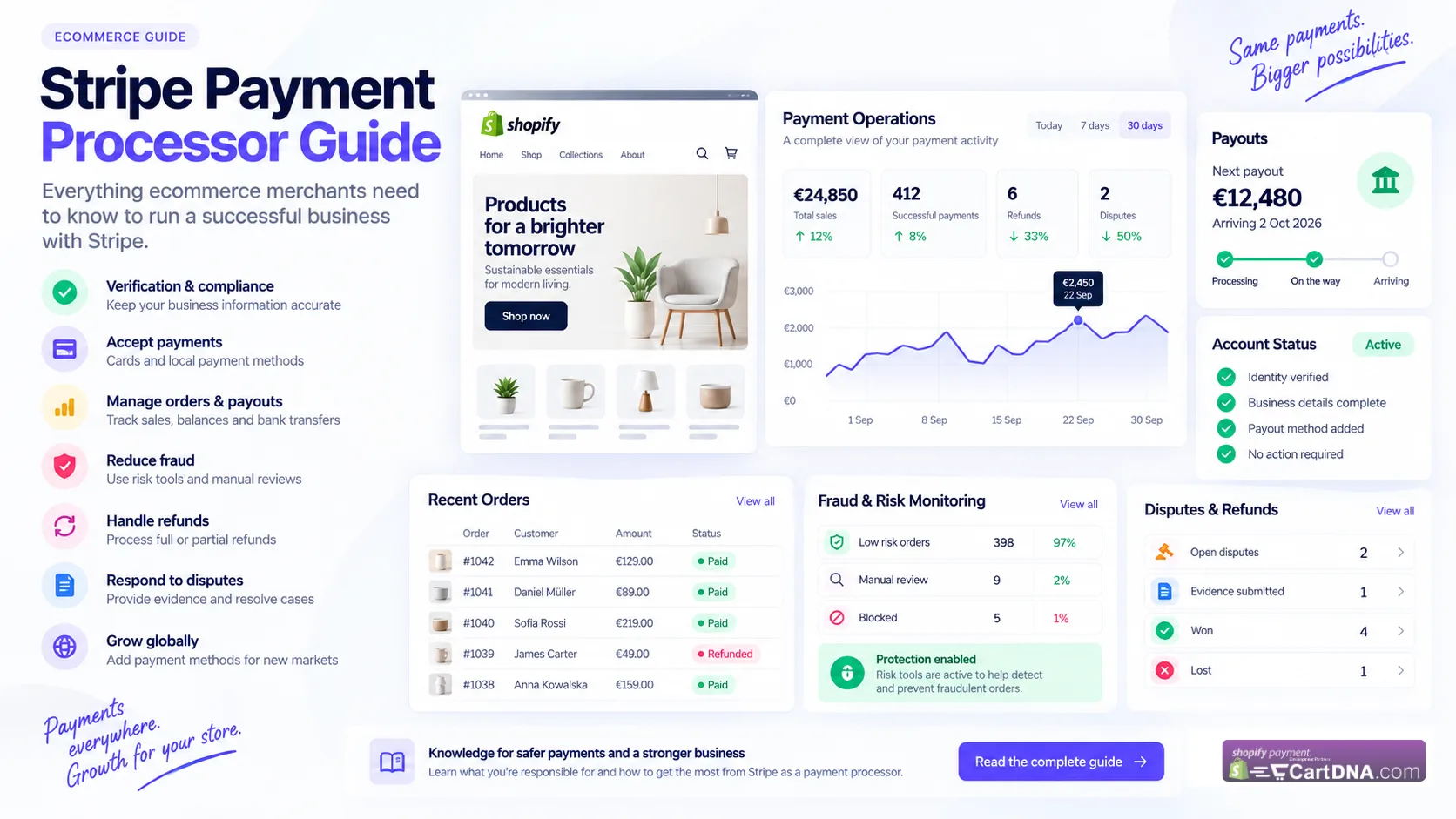 Stripe payment processor guide dashboard for ecommerce merchants managing verification, payouts, fraud, refunds and disputes