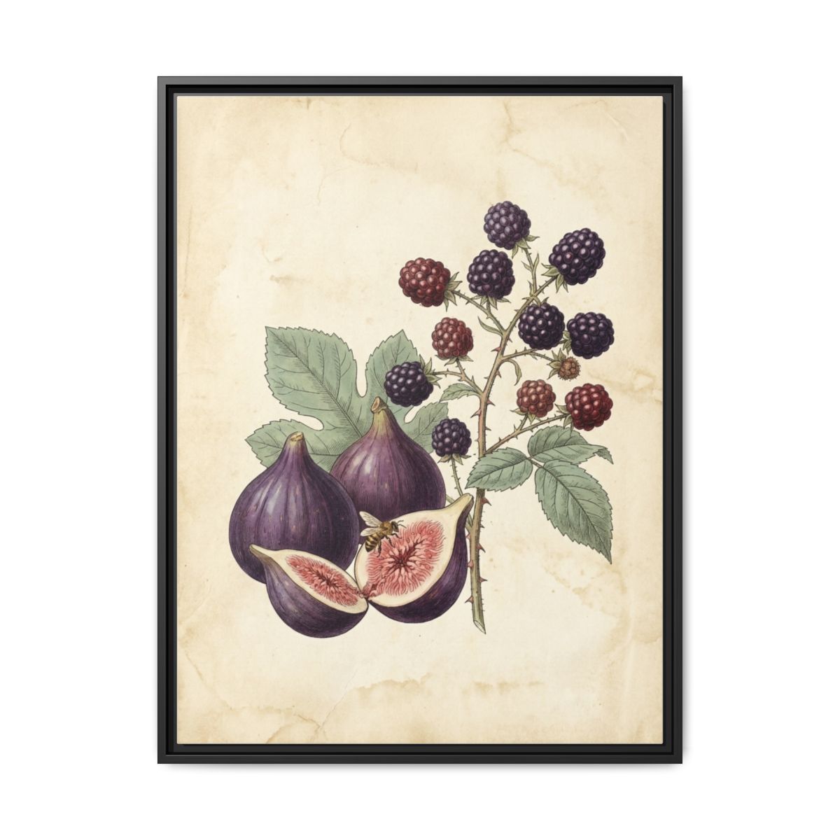 Figs and Blackberries Canvas Wall Art | Vintage Botanical Kitchen Print | Dining Room Framed Decor — Thumbnail 2