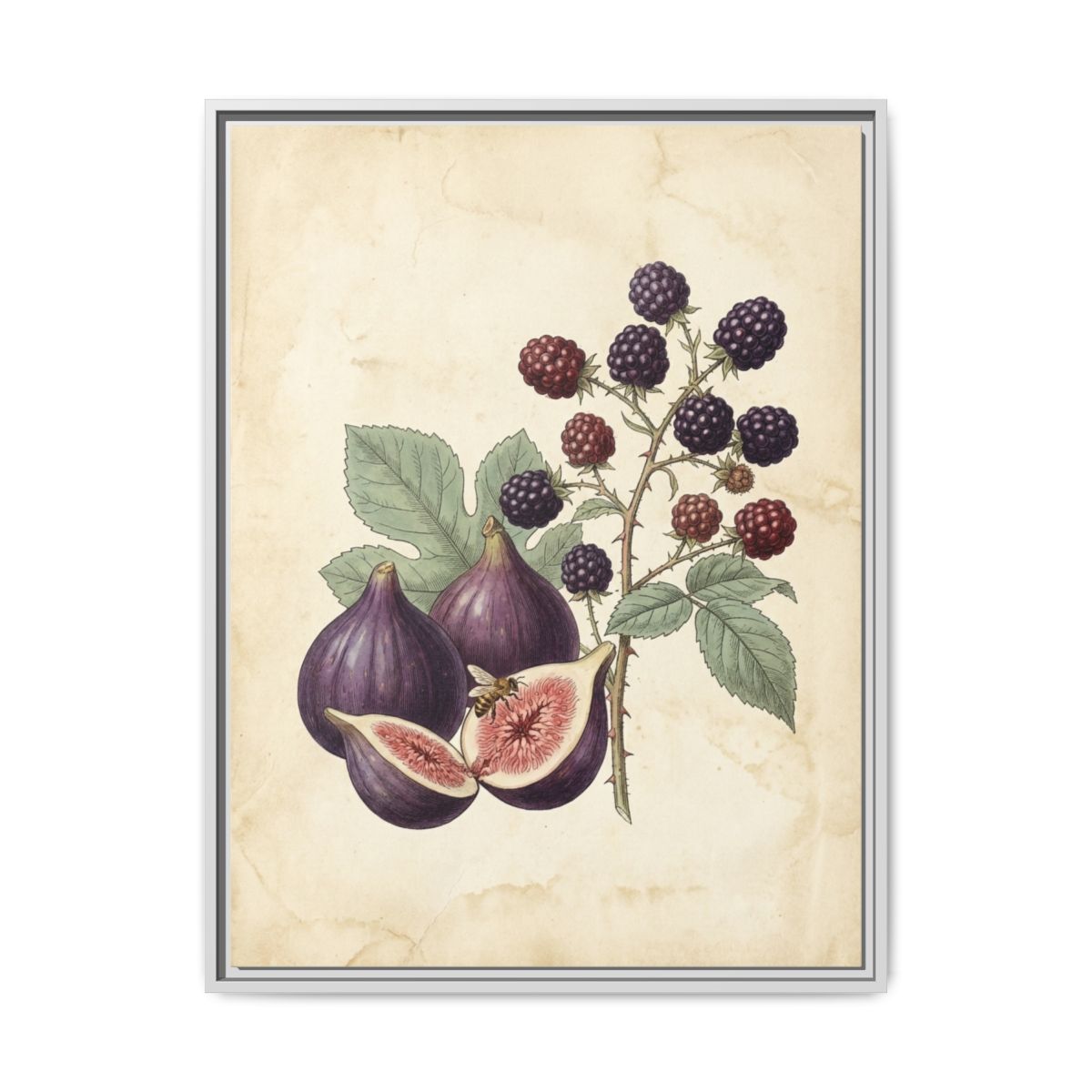 Figs and Blackberries Canvas Wall Art | Vintage Botanical Kitchen Print | Dining Room Framed Decor — Thumbnail 4