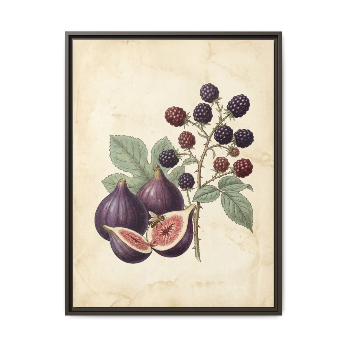 Figs and Blackberries Canvas Wall Art | Vintage Botanical Kitchen Print | Dining Room Framed Decor — Thumbnail 3