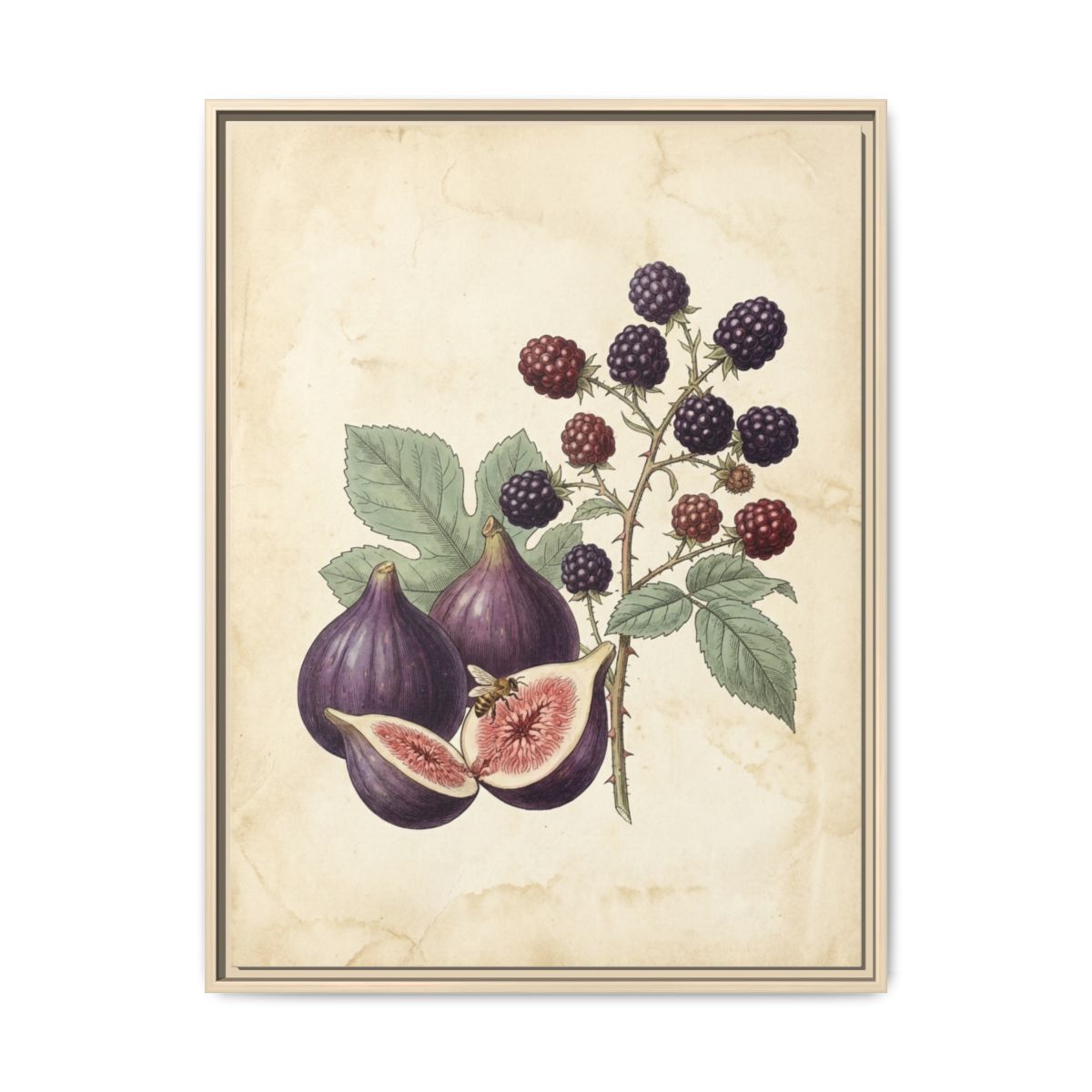 Figs and Blackberries Canvas Wall Art | Vintage Botanical Kitchen Print | Dining Room Framed Decor — Thumbnail 5