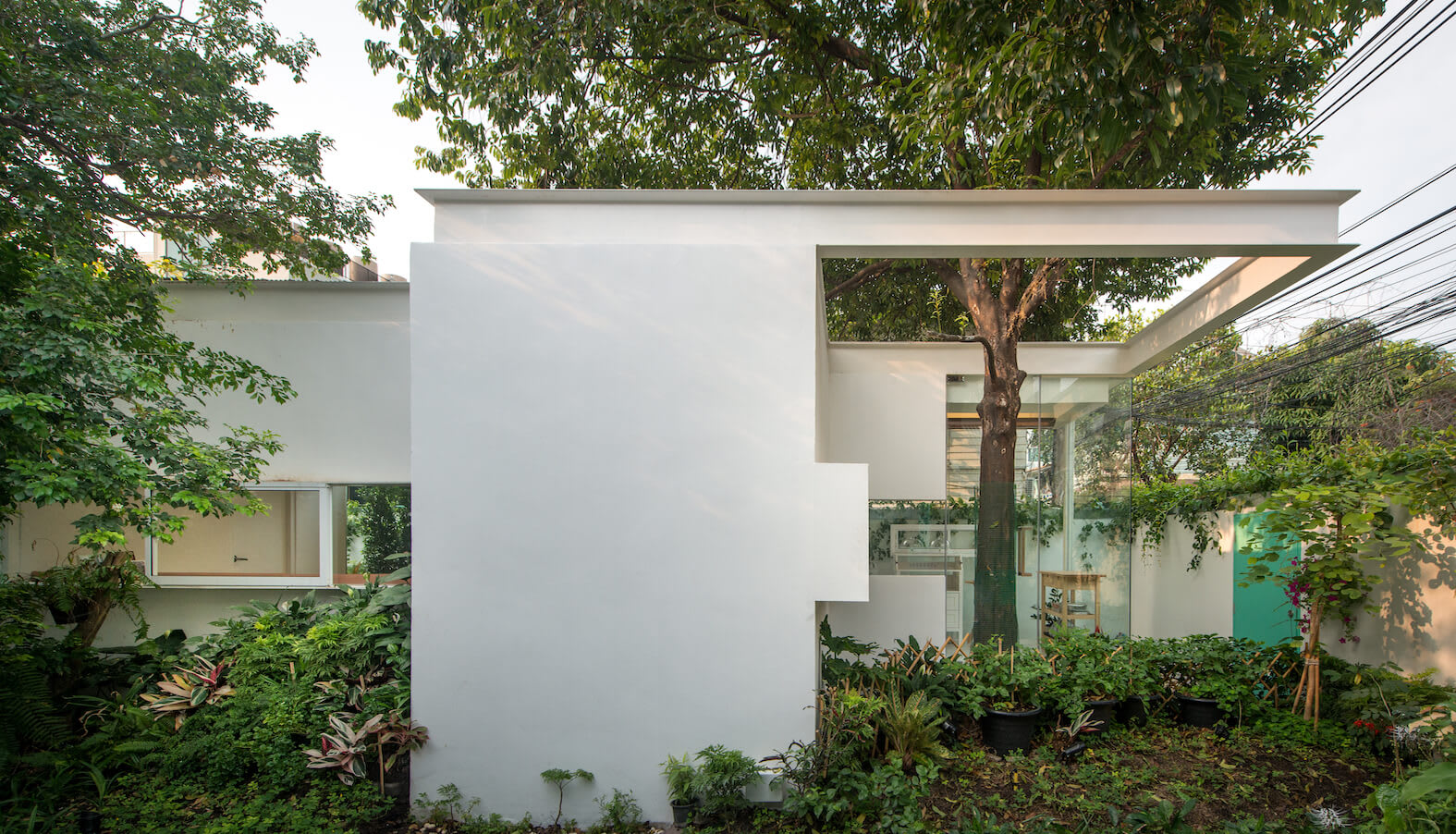 Image from Elemental Living project