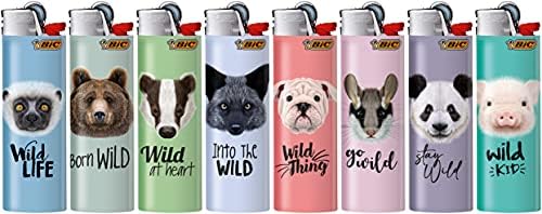 Vue 6 de Bic Maxi Lot De