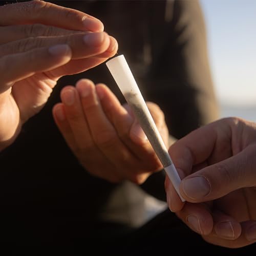 Vue 3 de Mascotte Original Cones Avec