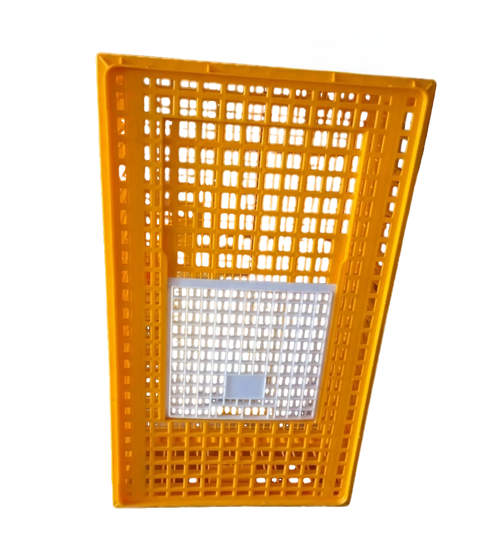 Transport Crate (Big)
