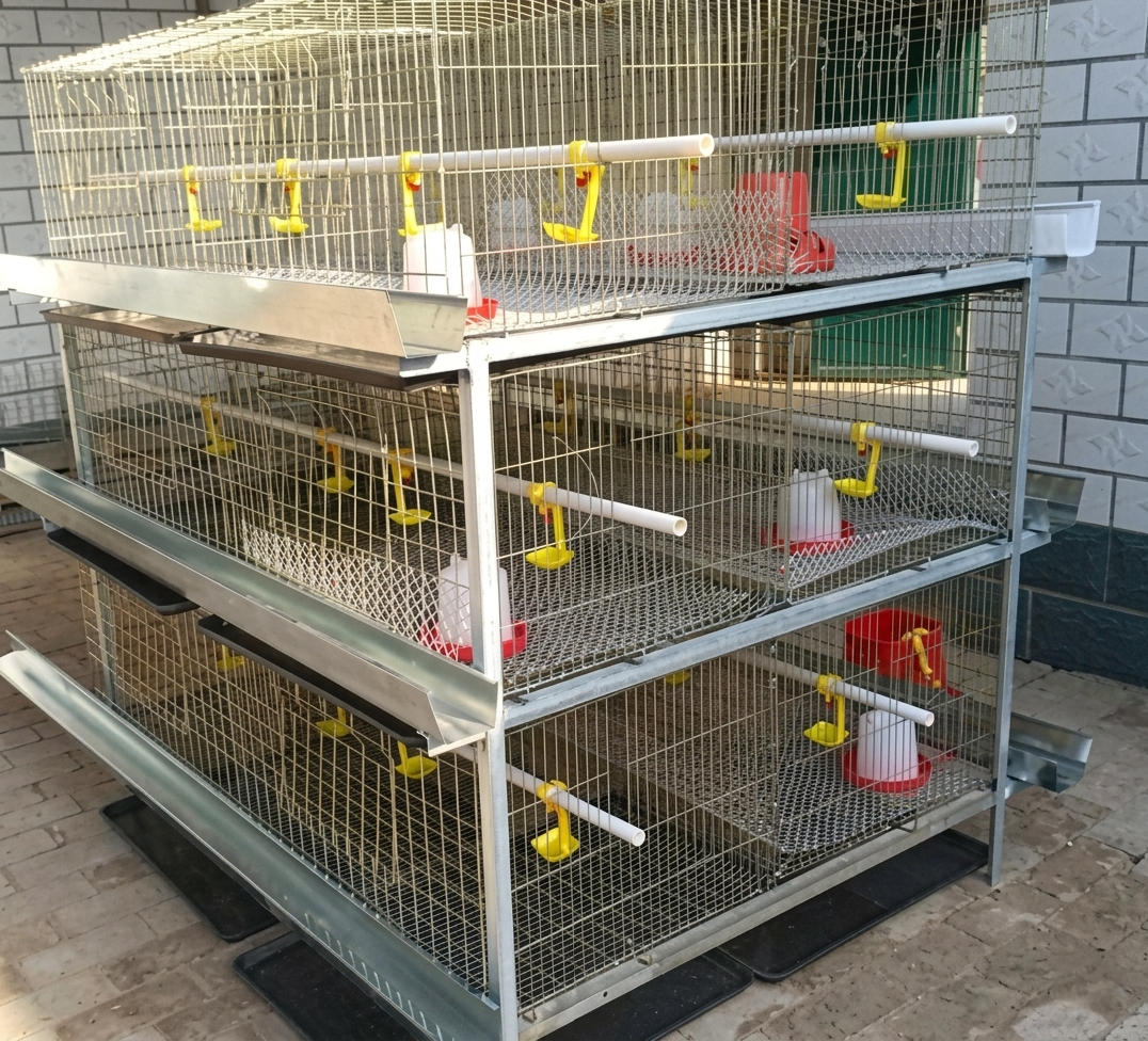 Broiler Brooding Cage (Imported)