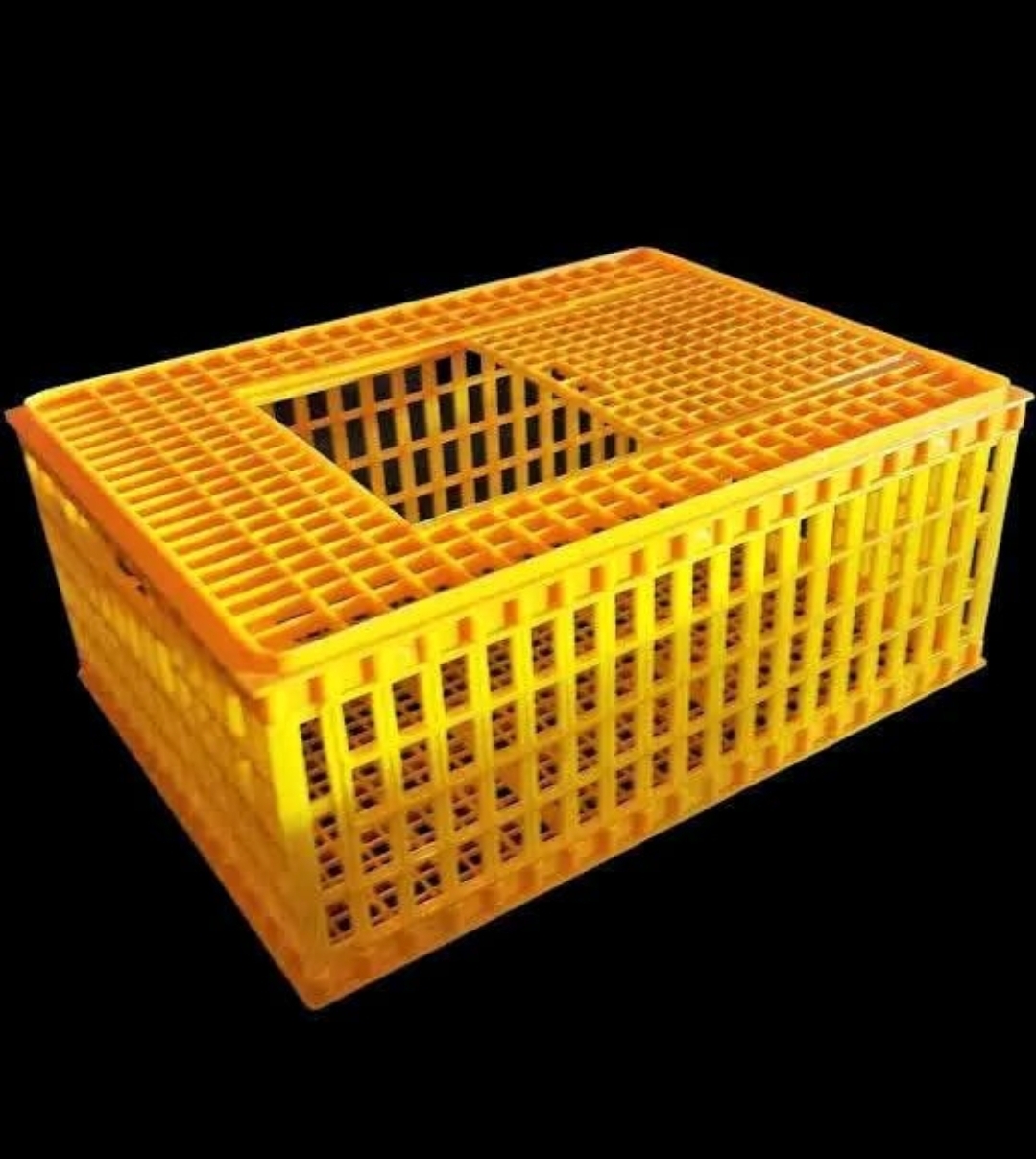 Transport Crate (Medium) 3
