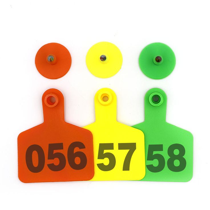 Ear Tags (Cattle)