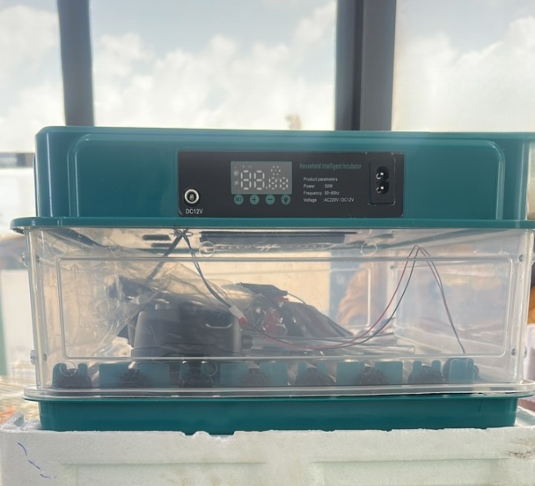 Mini Incubator MW48