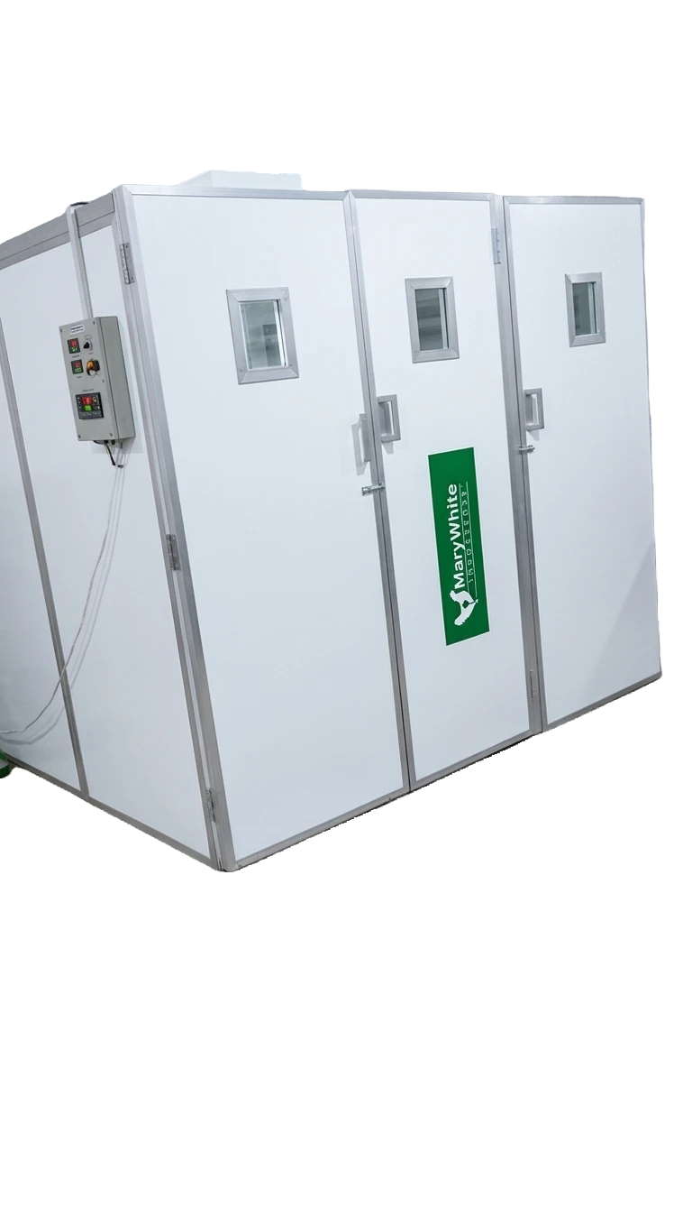 Egg Incubator MW30000