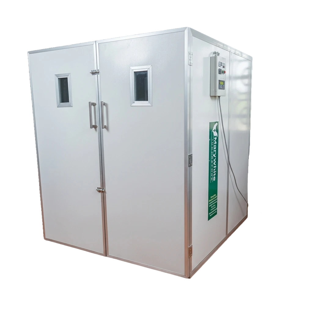 Egg Incubator MW11264