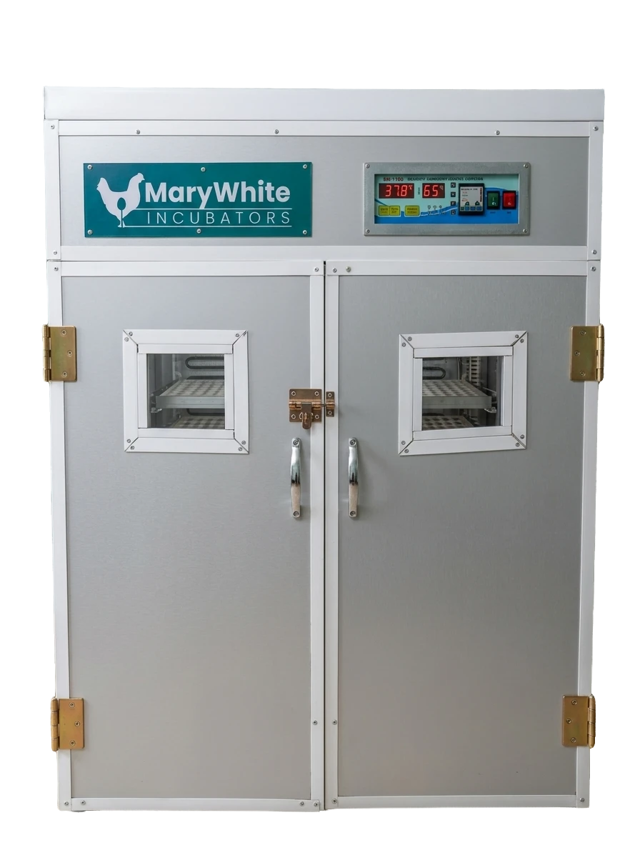 Egg Incubator MW1408
