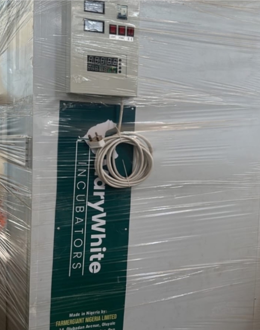 Egg Incubator MW7724