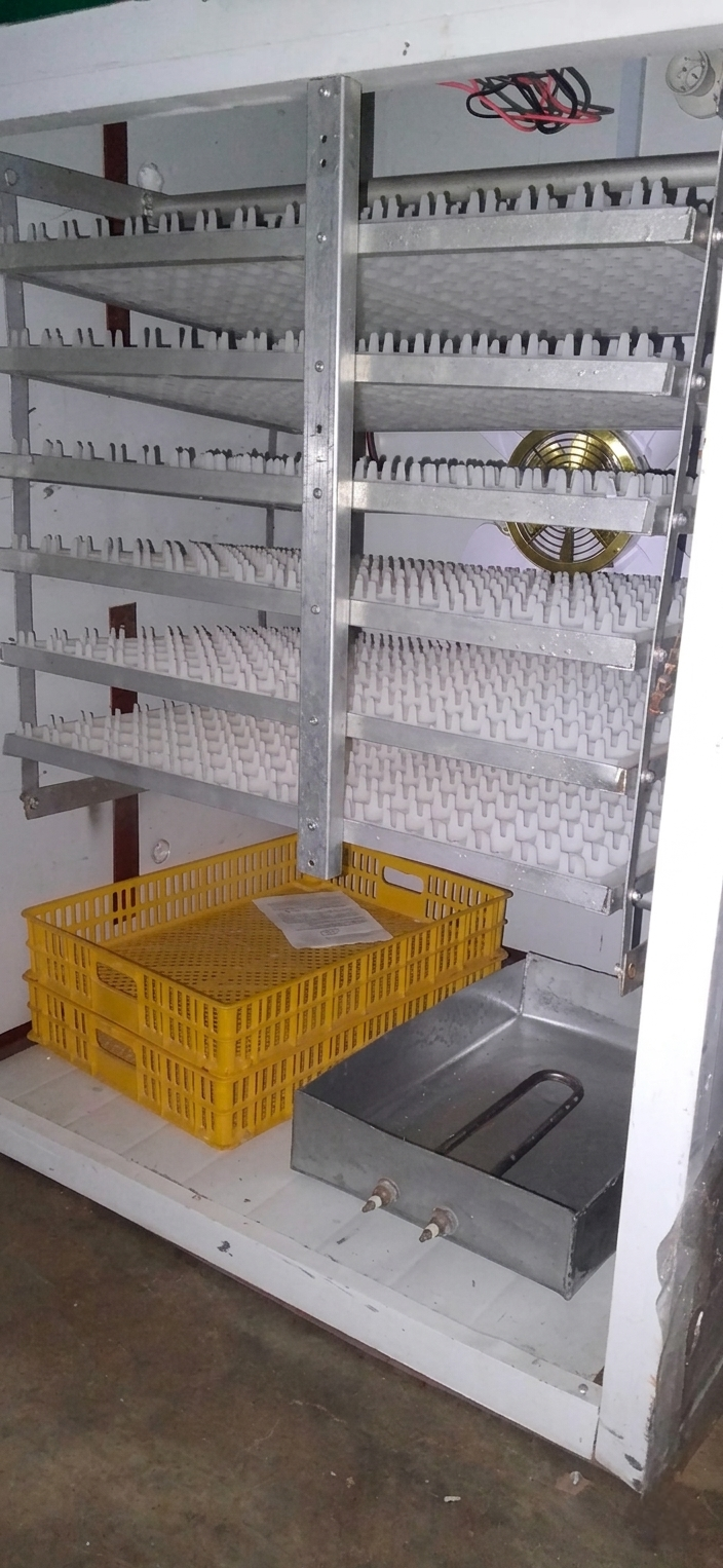 Egg Incubator MW3162