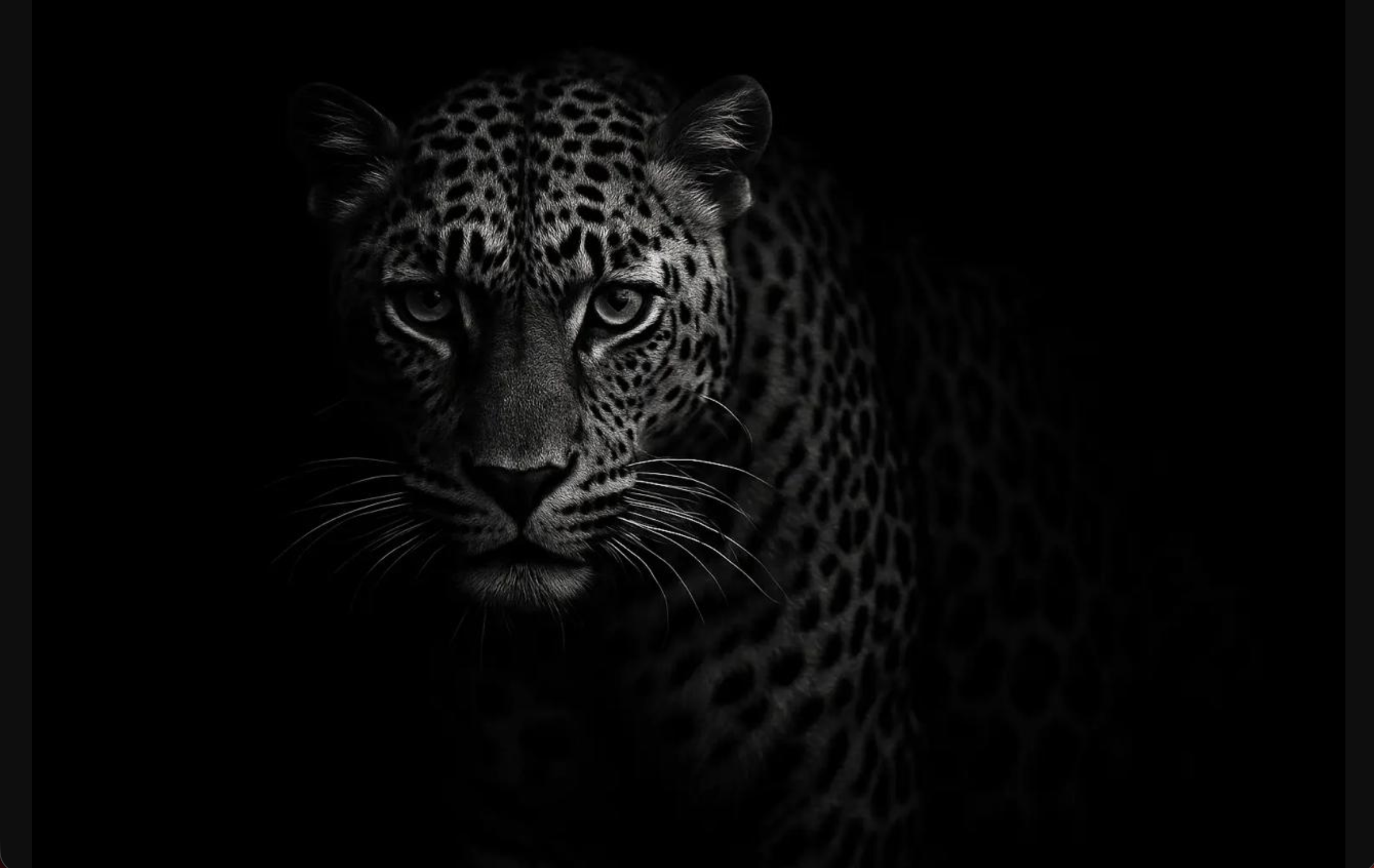 8-Day Sri Lankan Wonders: Culture, Wildlife & Scenic Beauty - Sri Lanka Adventure