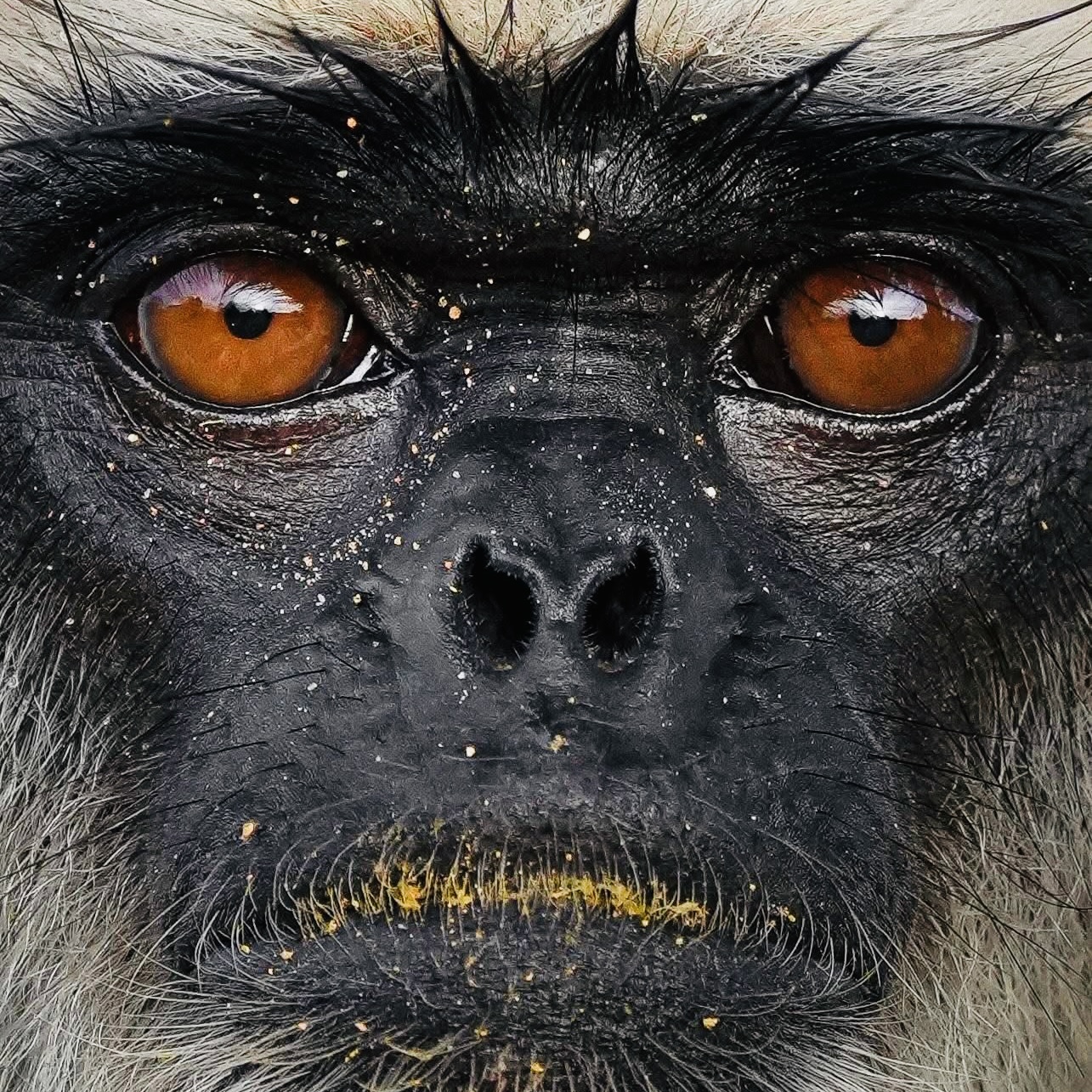 Is Yala National Park Worth It in 2026? Honest Safari Guide for Foreigners - Yala National Park Wildlife Journal