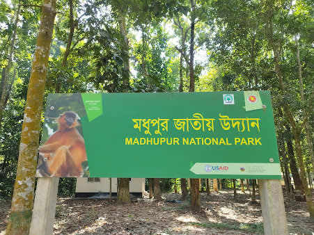 Madhupur National Park (Madhupur Shalban)
