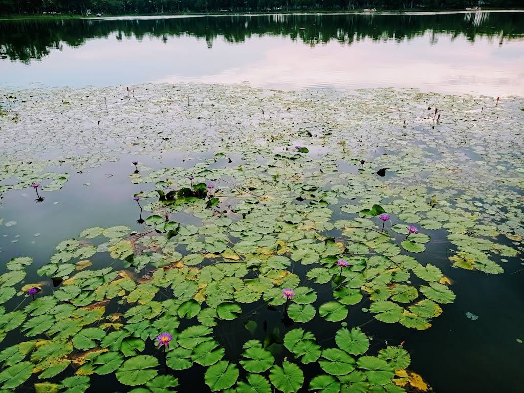 Nilsagar Dighi