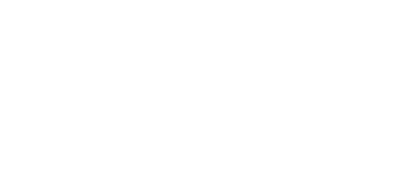 PwC logo white