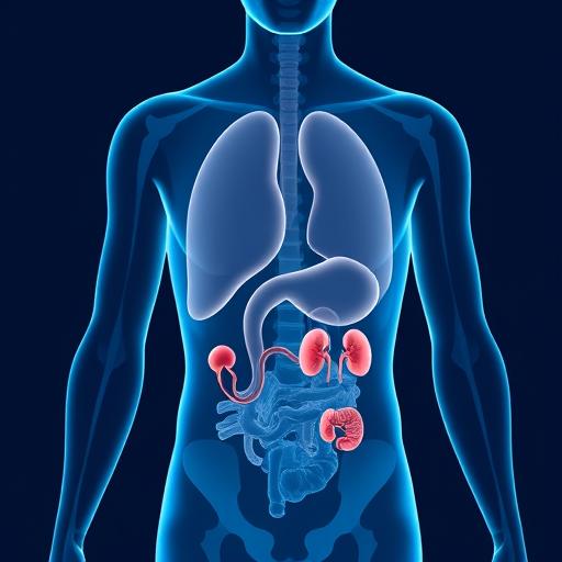Почему болит правый бок под ребрами: причины и что делать