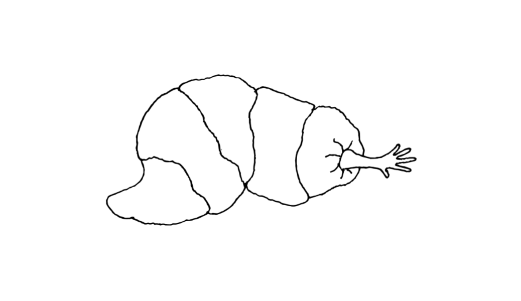 Cocoon | Jenny Erlanger