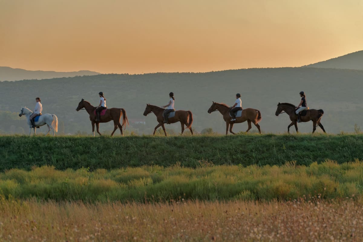 Unforgettable Gallop: Discover the Heart of Dalmatia on Horseback