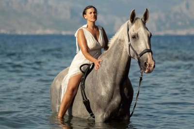 Swimming with Horses Brač — Adriatic Sea Experience