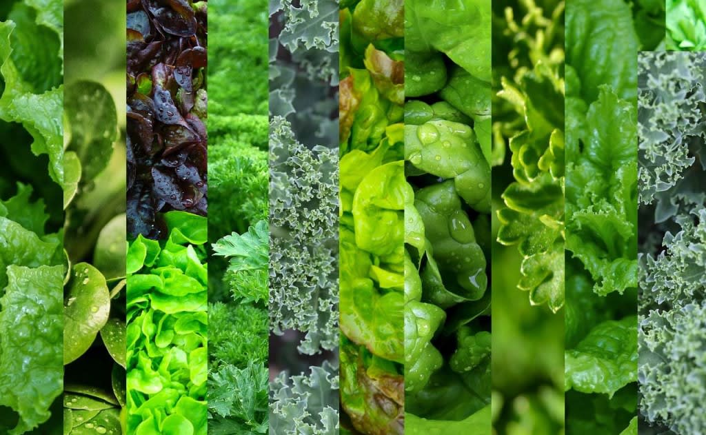 Why green leafy vegetables can protect liver health Living Healthy