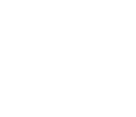 partner image
