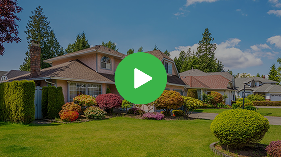 Green Marketing Mascot