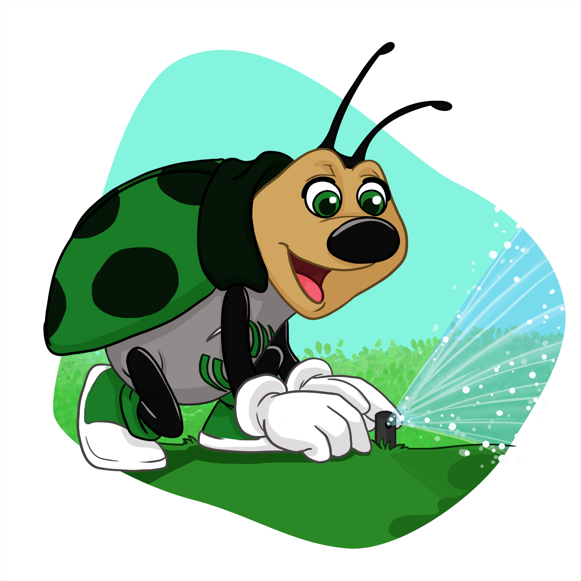 Irrigation